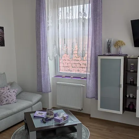 Fruehstueckspension Alte Volksschule Heinrichs Bei Weitra B&B 3*